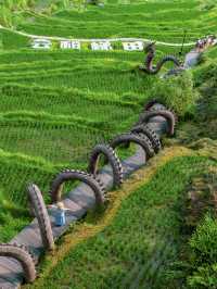 高鐵直達浙江被嚴重低估嘅避世梯田古村～