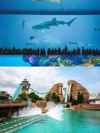 【珠海長隆+東澳島4日3夜】人均1500玩轉雙島！