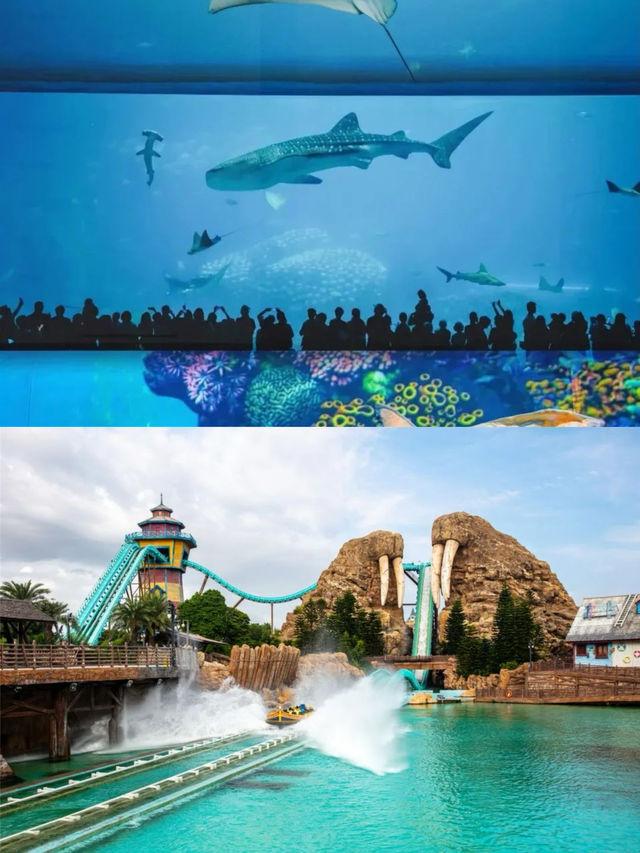 【珠海長隆+東澳島4日3夜】人均1500玩轉雙島！