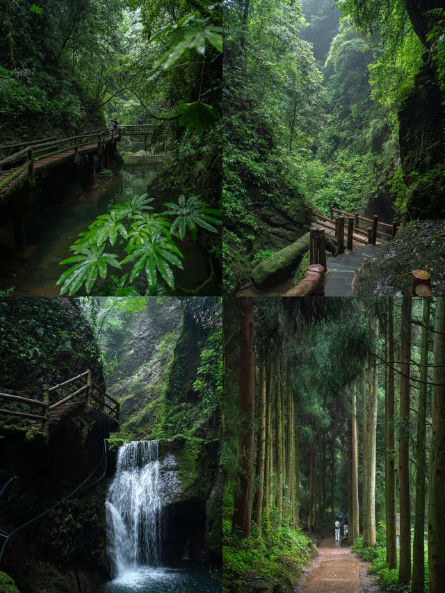 適合週末帶娃，親子友善、最安逸避暑山莊