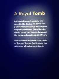 Amazing Ancient Egypt Exhibit