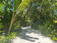Honeymoon Bliss at Sun Siyam