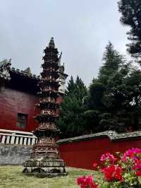 青山回響，鼓山的鐘聲與雲海