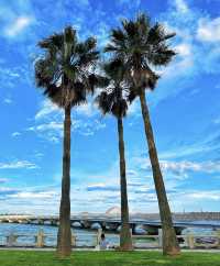 珠海夏日漫步指南