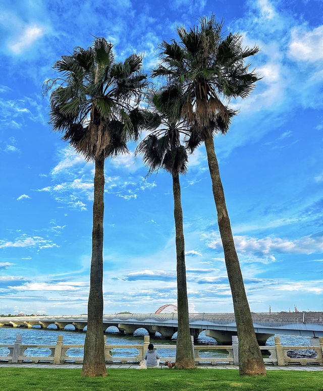 珠海夏日漫步指南 珠海夏日漫步指南