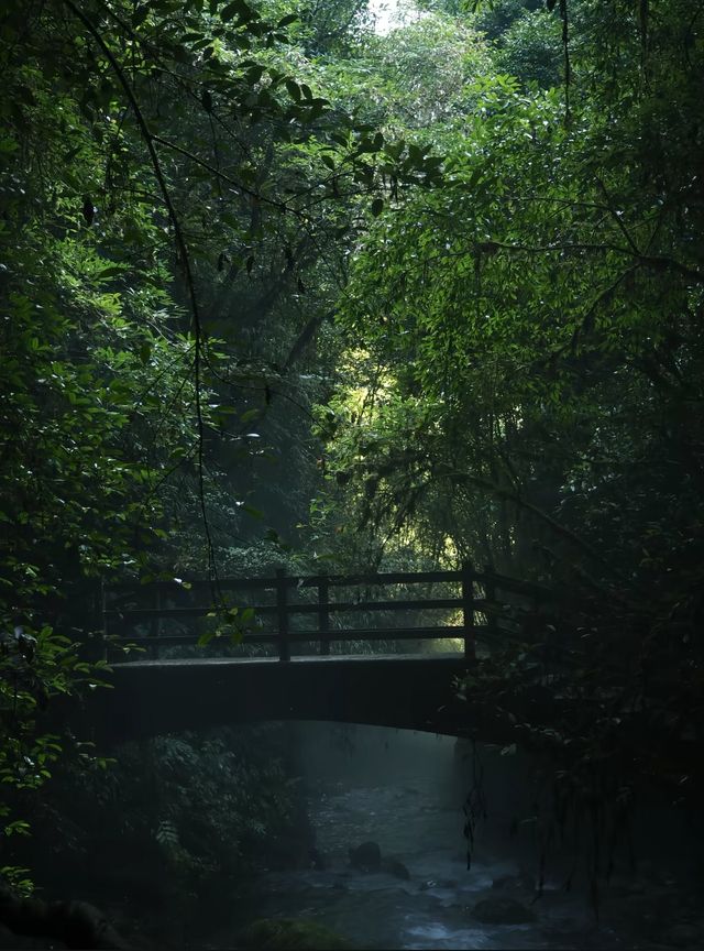 宣漢縣巴山大峽谷