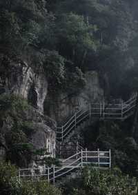 9月莽山必玩！秋日限定美景唔好錯過！