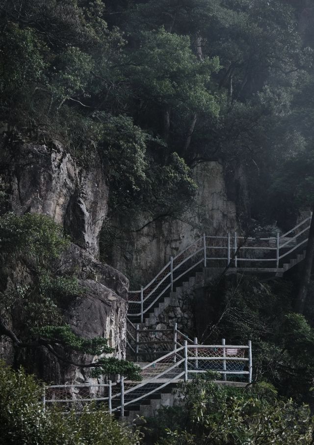 9月莽山必玩！秋日限定美景唔好錯過！