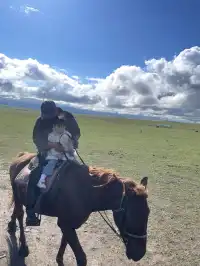 帶娃旅行2歲10個月內蒙之旅！詳細攻略