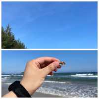 🌊海南石梅灣|避世海灣的治愈之旅