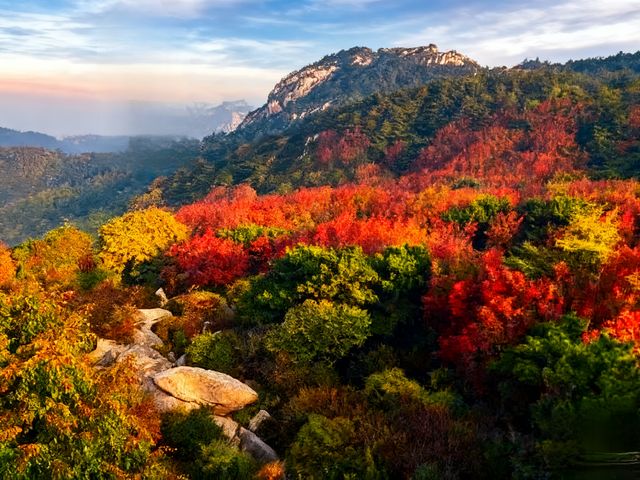 泰山秋色美翻天這份拍照打卡攻略請收好