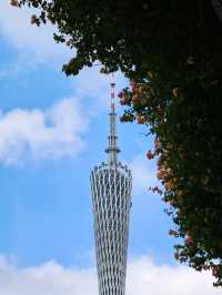 廣州塔賞花新視角