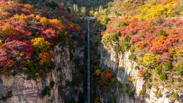 秋色潑墨山河卷，斑斕的河南等你來｜5處封神賞秋地