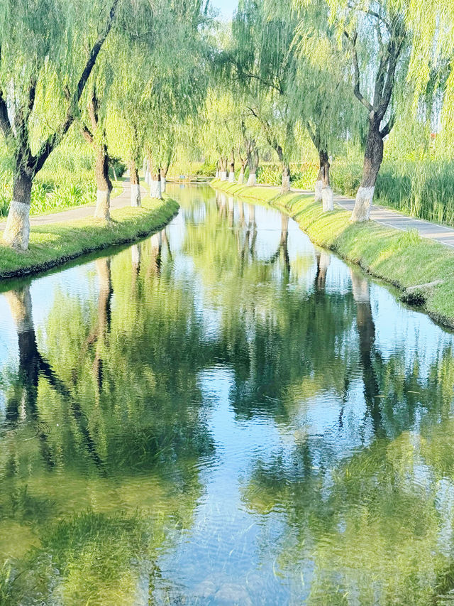 長沙洋湖邊發現小眾油畫感拍照聖地隨手拍都像電影畫面! 長沙洋湖邊發現小眾油畫感拍照聖地隨手拍都像電影畫面!