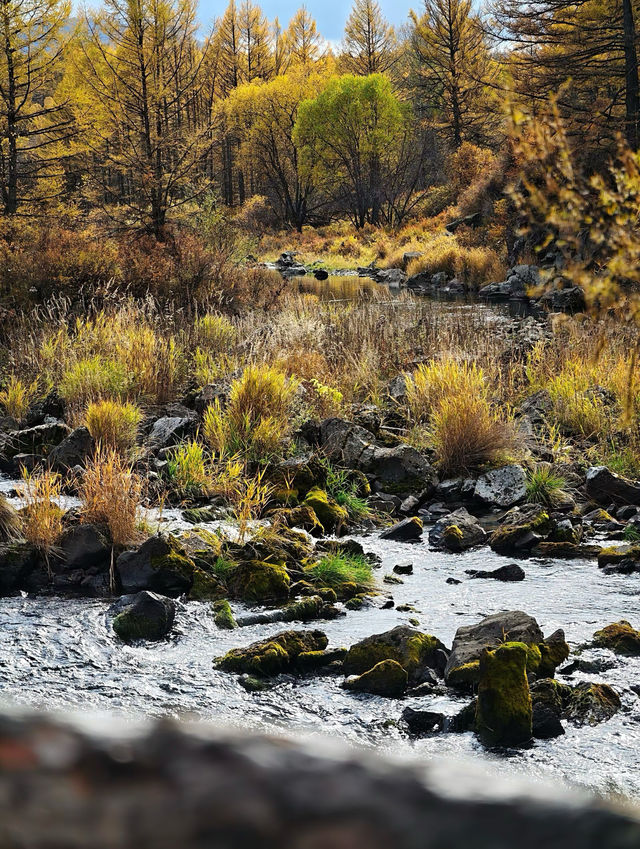 阿爾山•石塘林：踏足亞洲最大火山熔岩區