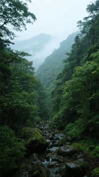 來體驗一下神農架原始森林，神農架雪景巡遊記