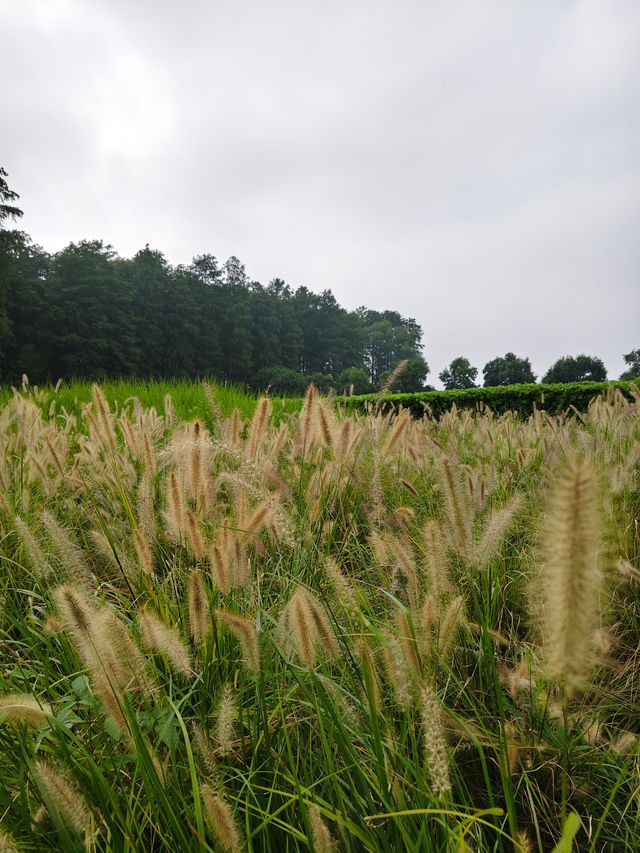 南京江心洲遛娃|真的已經到了next level 南京江心洲遛娃|真的已經到了next level