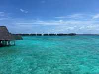 Honeymoon Paradise: Sea, Sand, and Exceptional Service