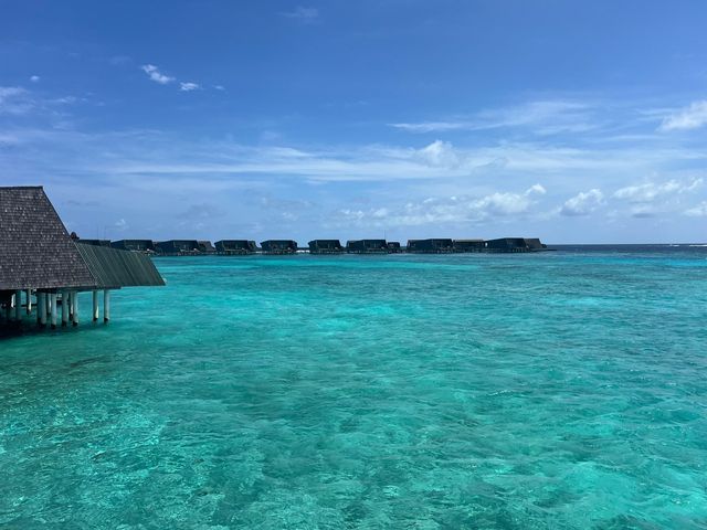 Honeymoon Paradise: Sea, Sand, and Exceptional Service