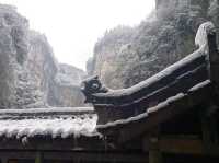 重慶下雪了！衝！仙女山2日遊保姆級攻略！