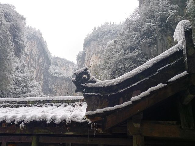 重慶下雪了！衝！仙女山2日遊保姆級攻略！