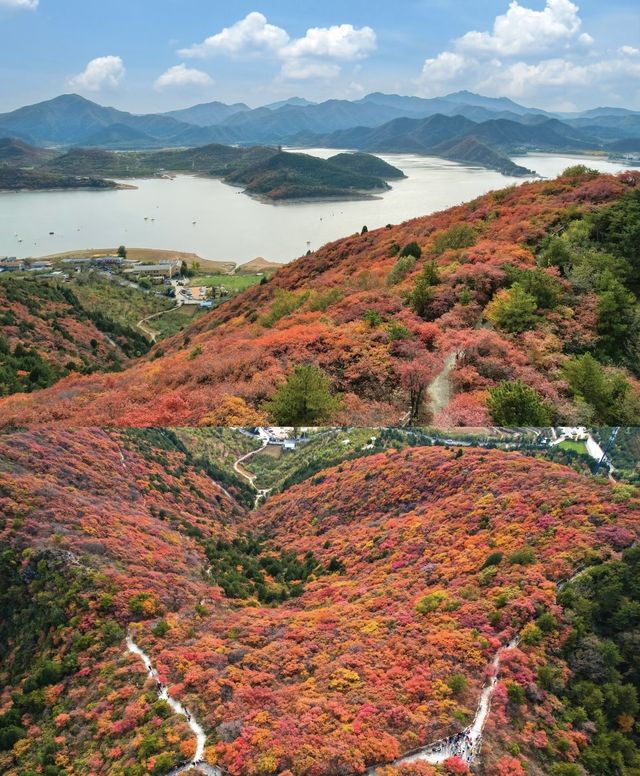 阜平深秋美景正式解鎖啦