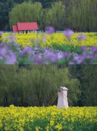 柏臨公園旅拍全攻略