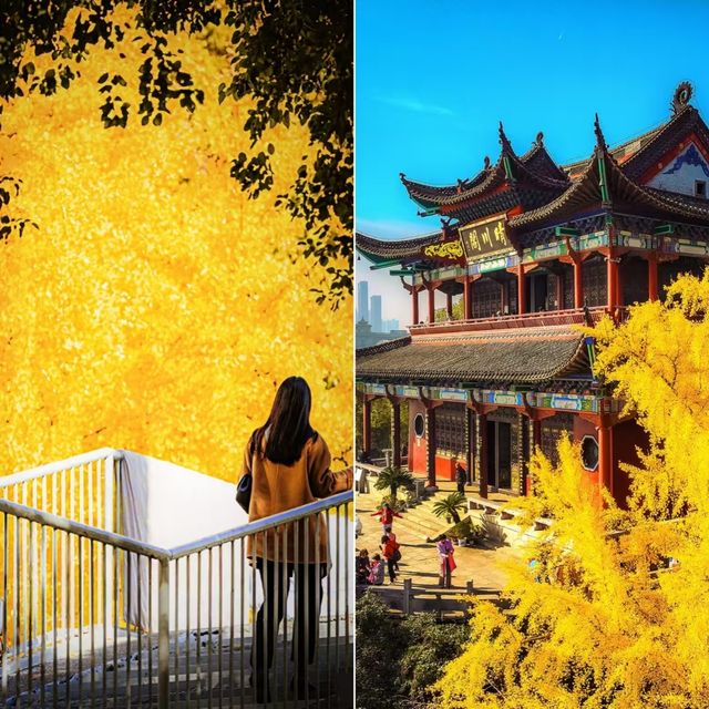 品嚐秋日暖陽下的甜美，我在湖北等你！