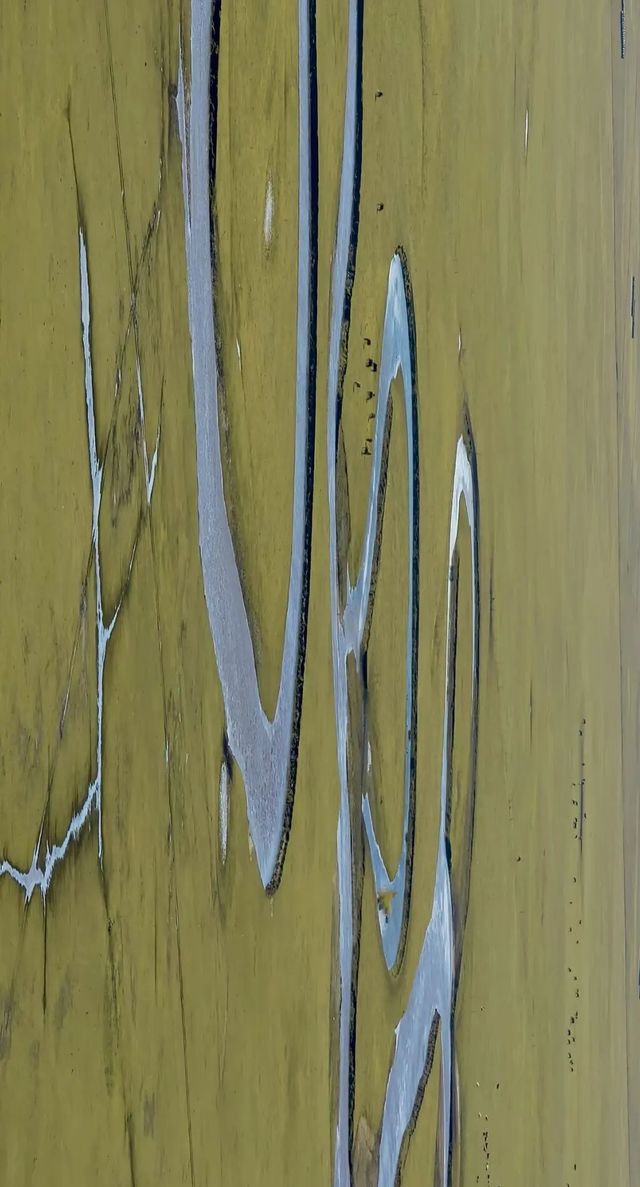 最美秋色——大興安嶺