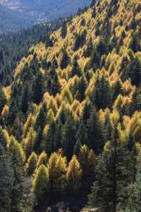 川西秘境|黨嶺葫蘆海