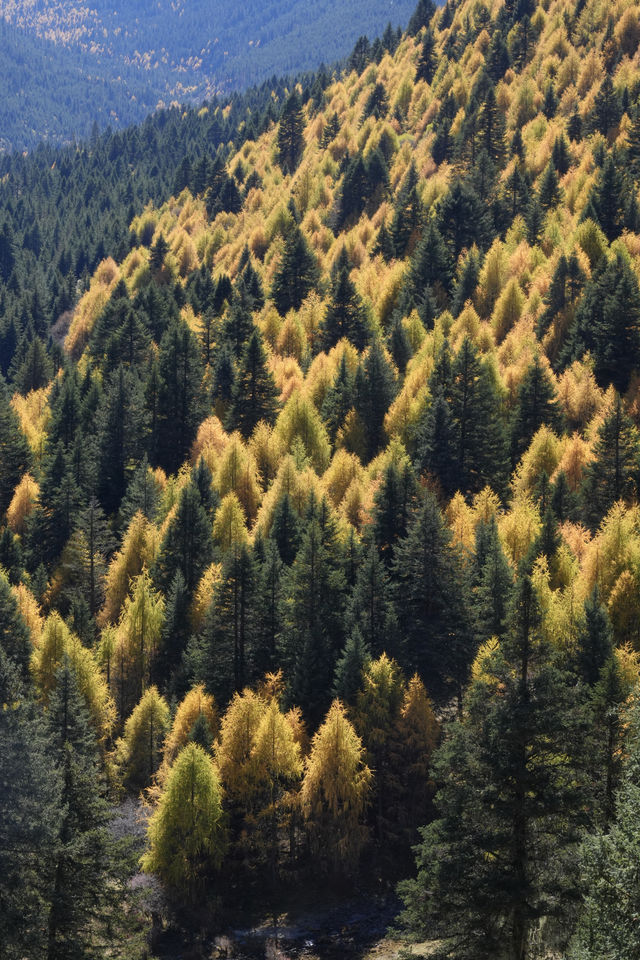 川西秘境|黨嶺葫蘆海 川西秘境|黨嶺葫蘆海