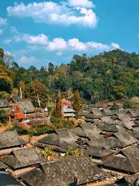 為一口千年茶香，奔赴景邁山糯乾古寨的治癒時光