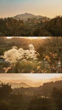 新昌,回山秋景已經藏不住了快衝呀