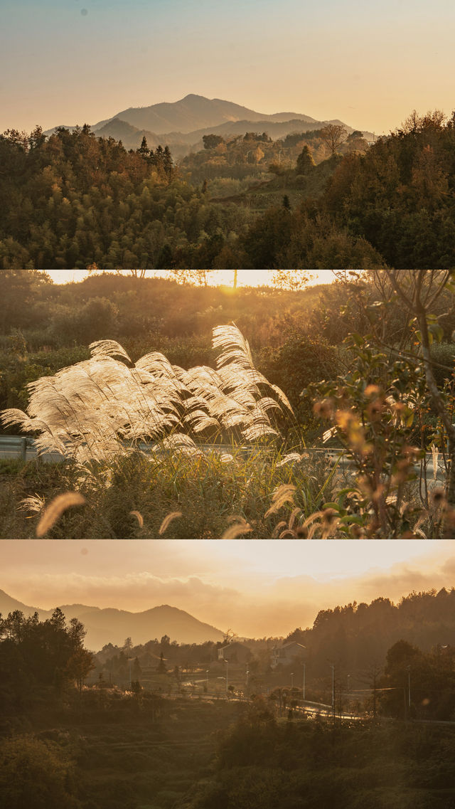 新昌,回山秋景已經藏不住了快衝呀 新昌,回山秋景已經藏不住了快衝呀