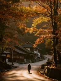 帶娃衝光霧山紅葉+遛娃兩不誤！