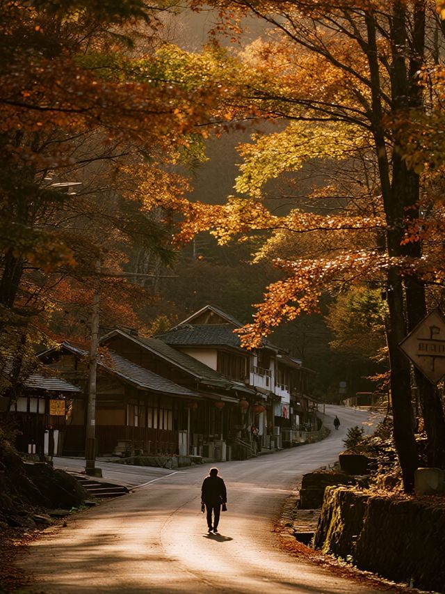 帶娃衝光霧山紅葉+遛娃兩不誤！
