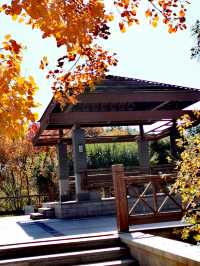 【河南省湯陰縣】城南公園。