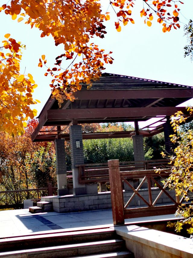 【河南省湯陰縣】城南公園。 【河南省湯陰縣】城南公園。