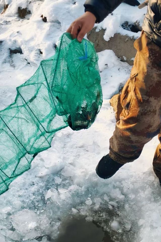 冬日徒步尋蹤野趣