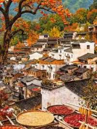 被《國家地理》評為最美古村的秋天有多絕