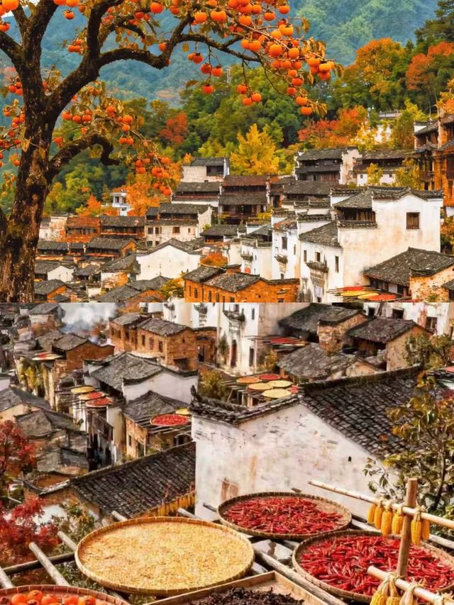 被《國家地理》評為最美古村的秋天有多絕