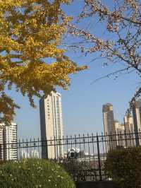 煙台初冬限定希爾頓逸林酒店隔壁就是童話酒莊