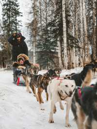 乘極光列車泡溫泉|7天解鎖阿拉斯加玩法
