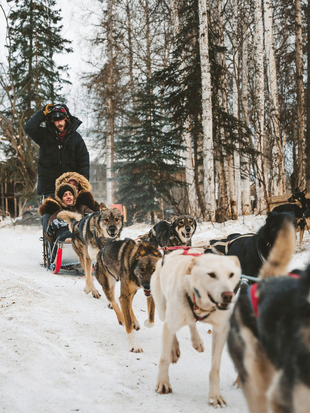 乘極光列車泡溫泉|7天解鎖阿拉斯加玩法