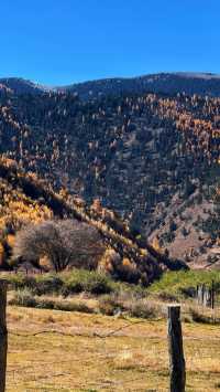 川西過週末超詳細攻略