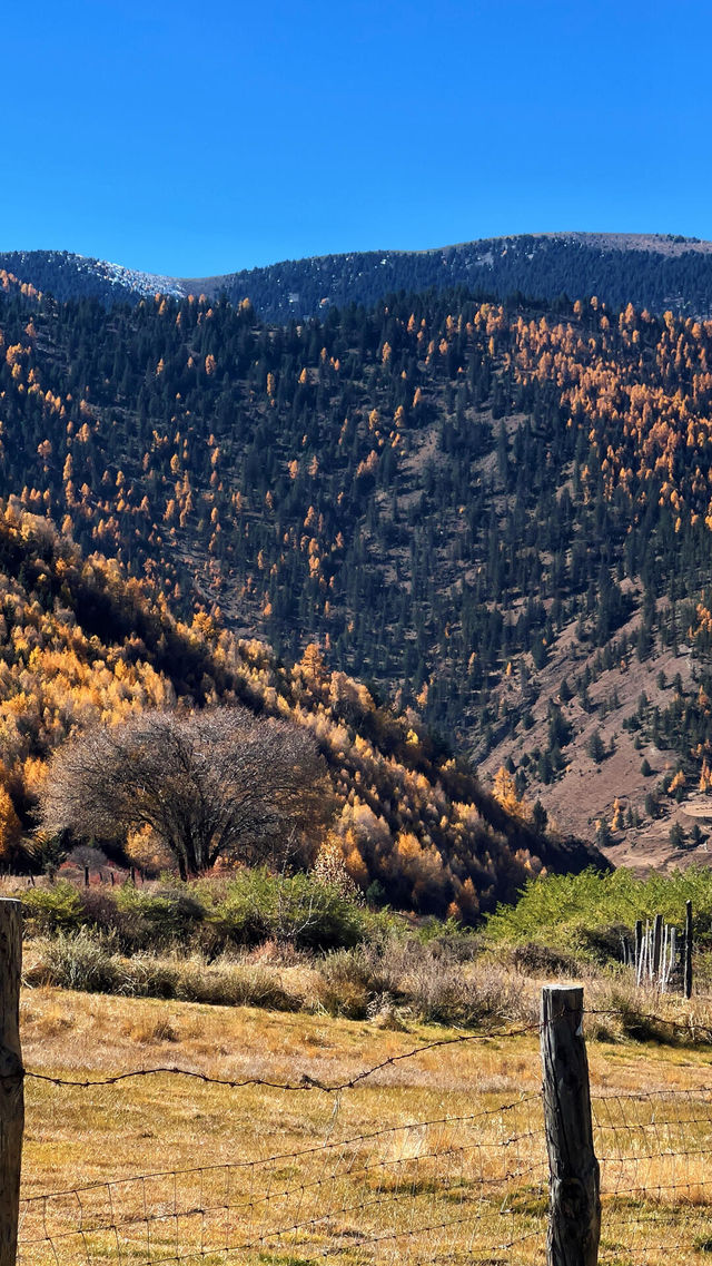 川西過週末超詳細攻略