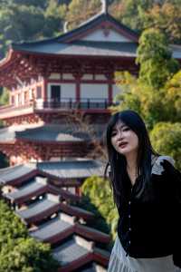 【長安荔枝香山遊，禪意旅途正當時】