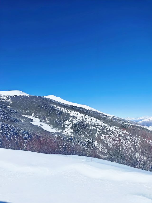 此生必去！為什麼梅里雪山是神山？