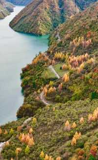 平武天母湖“百里彩林走廊”