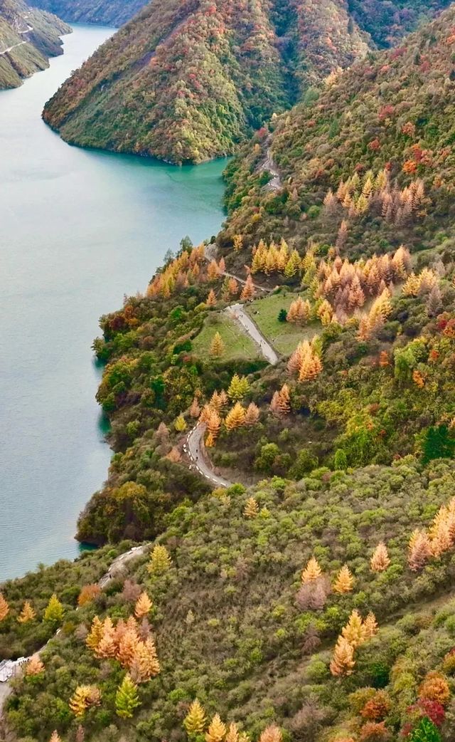 平武天母湖“百里彩林走廊”